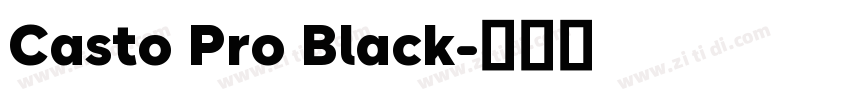 Casto Pro Black字体转换
